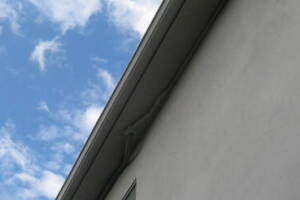 Landscaping Pressure Washing Walls Spiderwebs - Landscaping