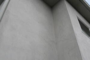 Landscaping Pressure Washing Walls Spiderwebs - Landscaping