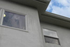 Landscaping Pressure Washing Walls Spiderwebs - Landscaping