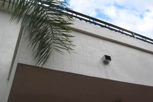 Landscaping Pressure Washing Walls Spiderwebs - Landscaping