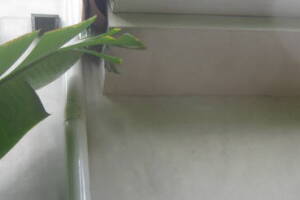 Landscaping Pressure Washing Walls Spiderwebs - Landscaping