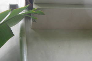 Landscaping Pressure Washing Walls Spiderwebs - Landscaping