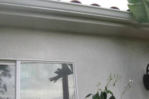 Landscaping Pressure Washing Walls Spiderwebs - Landscaping