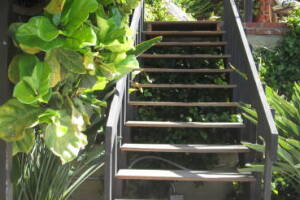 Landscaping Pressure Washing Wood Patio - Landscaping