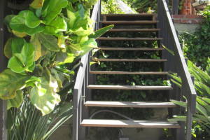 Landscaping Pressure Washing Wood Patio - Landscaping