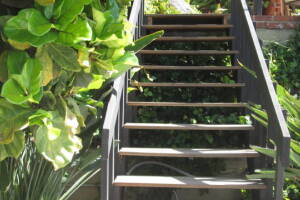 Landscaping Pressure Washing Wood Patio - Landscaping