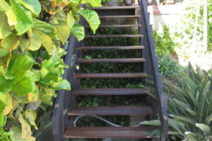 Landscaping Pressure Washing Wood Patio - Landscaping