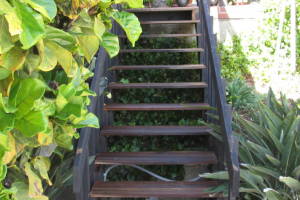 Landscaping Pressure Washing Wood Patio - Landscaping