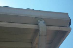 Landscaping Rain Gutter Broken Repair - Landscaping