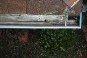 Landscaping Rain Gutter Cleaning Dirt Debris - Landscaping