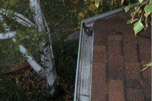 Landscaping Rain Gutter Cleaning Dirt Debris - Landscaping