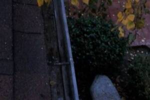 Landscaping Rain Gutter Cleaning Dirt Debris - Landscaping