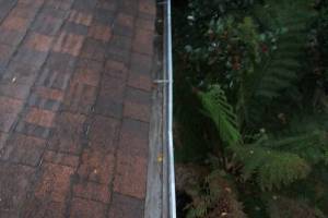 Landscaping Rain Gutter Cleaning Dirt Debris - Landscaping