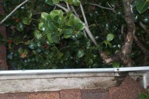 Landscaping Rain Gutter Cleaning Dirt Debris - Landscaping