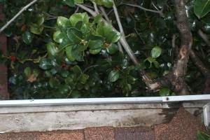 Landscaping Rain Gutter Cleaning Dirt Debris - Landscaping