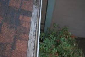 Landscaping Rain Gutter Cleaning Dirt Debris - Landscaping