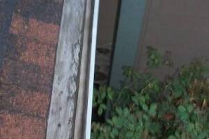 Landscaping Rain Gutter Cleaning Dirt Debris - Landscaping