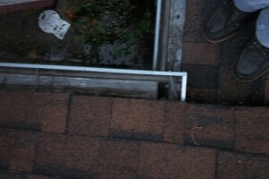 Landscaping Rain Gutter Cleaning Dirt Debris - Landscaping