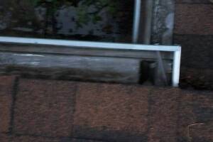 Landscaping Rain Gutter Cleaning Dirt Debris - Landscaping