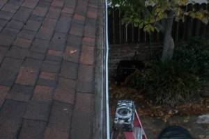 Landscaping Rain Gutter Cleaning Dirt Debris - Landscaping