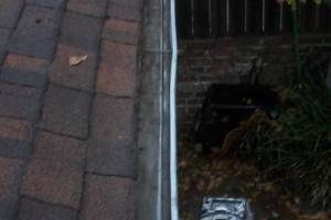Landscaping Rain Gutter Cleaning Dirt Debris - Landscaping