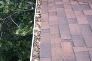 Landscaping Rain Gutter Cleaning Dirt Debris - Landscaping