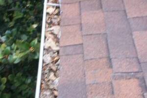 Landscaping Rain Gutter Cleaning Dirt Debris - Landscaping
