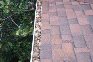 Landscaping Rain Gutter Cleaning Dirt Debris - Landscaping