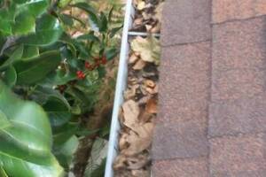 Landscaping Rain Gutter Cleaning Dirt Debris - Landscaping