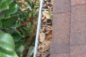 Landscaping Rain Gutter Cleaning Dirt Debris - Landscaping