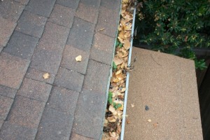 Landscaping Rain Gutter Cleaning Dirt Debris - Landscaping