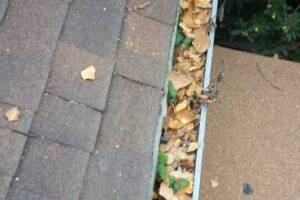 Landscaping Rain Gutter Cleaning Dirt Debris - Landscaping