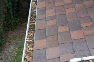 Landscaping Rain Gutter Cleaning Dirt Debris - Landscaping