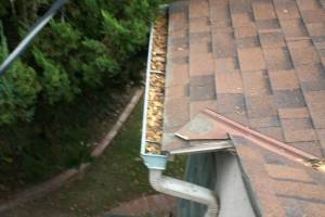 Landscaping Rain Gutter Cleaning Dirt Debris - Landscaping