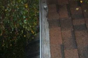 Landscaping Rain Gutter Cleaning Dirt Debris - Landscaping