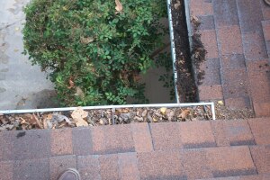 Landscaping Rain Gutter Cleaning Dirt Debris - Landscaping