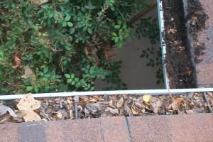 Landscaping Rain Gutter Cleaning Dirt Debris - Landscaping