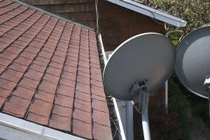 Landscaping Rain Gutter Cleaning Leaves - Landscaping