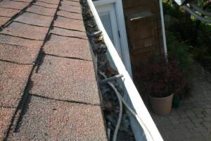 Landscaping Rain Gutter Cleaning Leaves - Landscaping