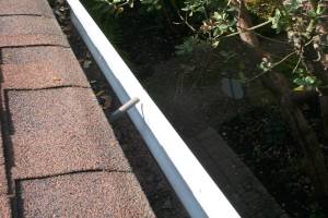 Landscaping Rain Gutter Cleaning Leaves - Landscaping