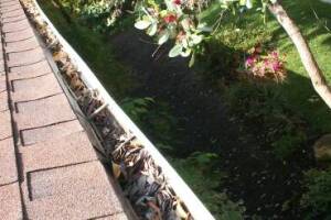 Landscaping Rain Gutter Cleaning Leaves - Landscaping