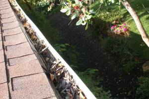 Landscaping Rain Gutter Cleaning Leaves - Landscaping