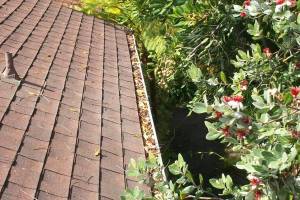 Landscaping Rain Gutter Cleaning Leaves - Landscaping