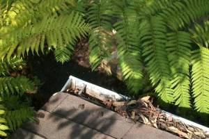 Landscaping Rain Gutter Cleaning Leaves - Landscaping