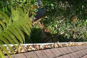 Landscaping Rain Gutter Cleaning Leaves - Landscaping