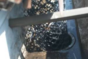 Landscaping Rain Gutter Cleaning Leaves - Landscaping