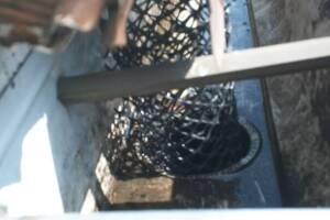 Landscaping Rain Gutter Cleaning Leaves - Landscaping