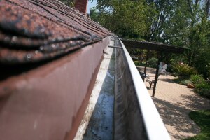 Landscaping Rain Gutter Cleaning Leaves - Landscaping