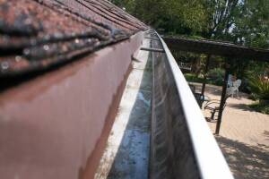Landscaping Rain Gutter Cleaning Leaves - Landscaping