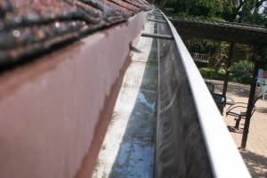Landscaping Rain Gutter Cleaning Leaves - Landscaping